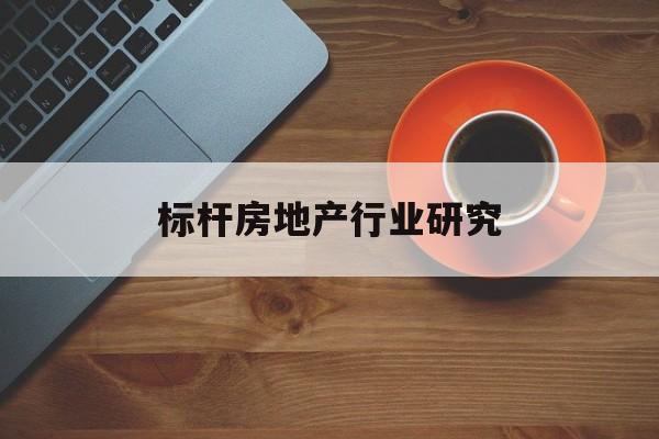 新乡市标杆房地产行业研究(房地产领域的标杆人物)