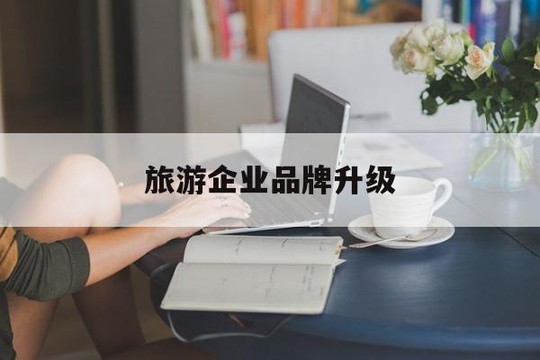 新乡市旅游企业品牌升级(旅游企业品牌升级措施)