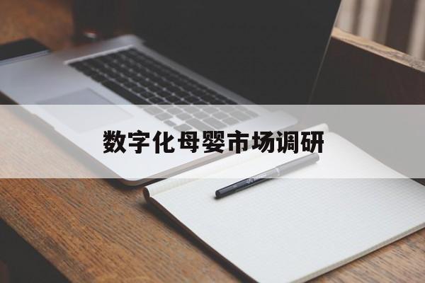 新乡市数字化母婴市场调研(数字化母婴市场调研报告)