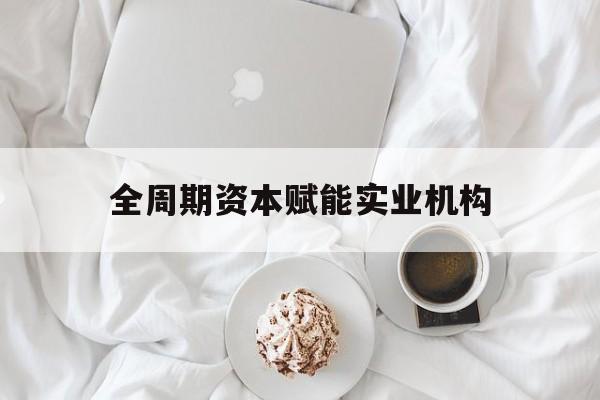 新乡市全周期资本赋能实业机构(全周期管理)